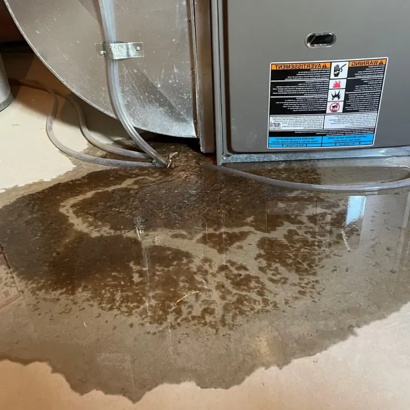 Pipe Burst and Leak Restoration in Arlington, TN
